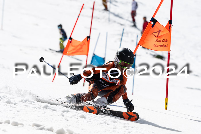 Ziener Cup Finale WF PSL, 30.03.2024 