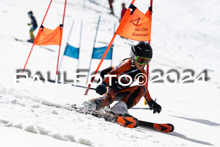Ziener Cup Finale WF PSL, 30.03.2024 