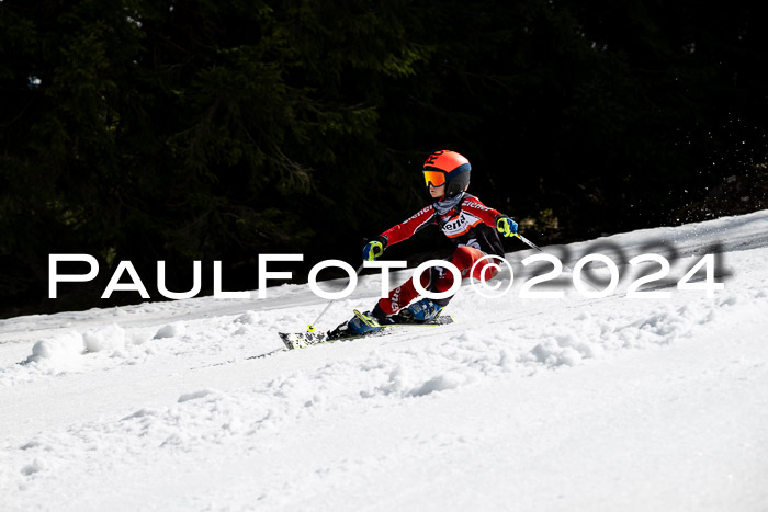Ziener Cup Finale WF PSL, 30.03.2024 