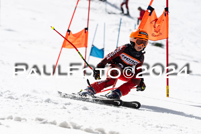 Ziener Cup Finale WF PSL, 30.03.2024 