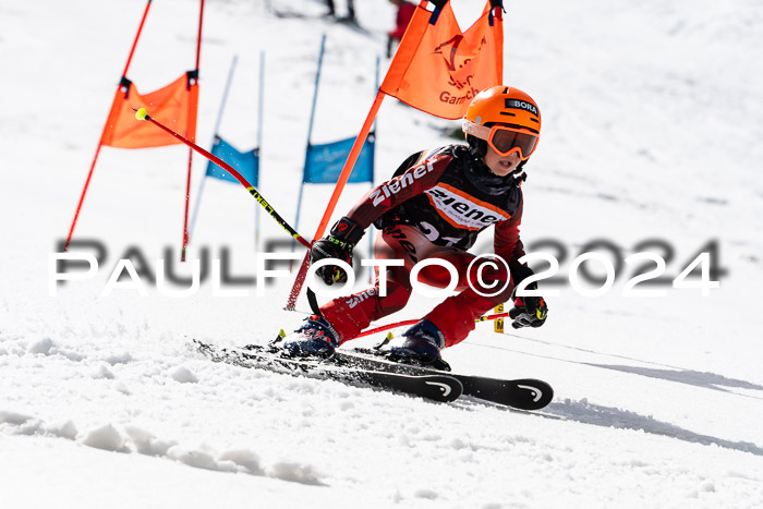 Ziener Cup Finale WF PSL, 30.03.2024 
