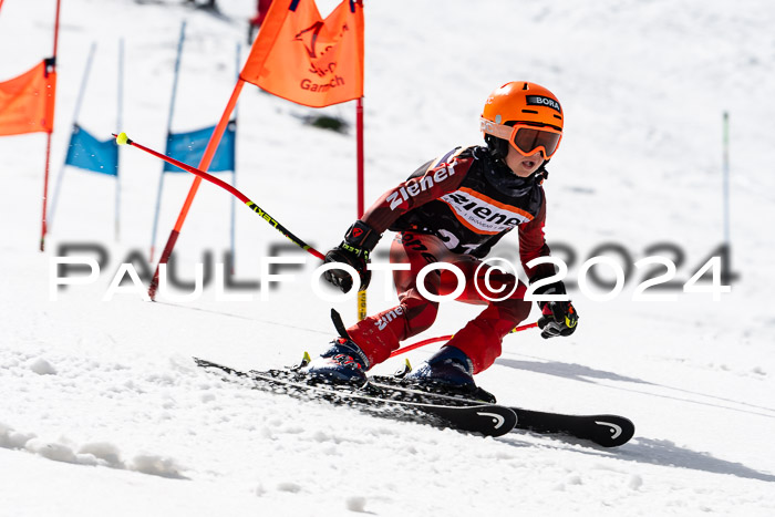 Ziener Cup Finale WF PSL, 30.03.2024 
