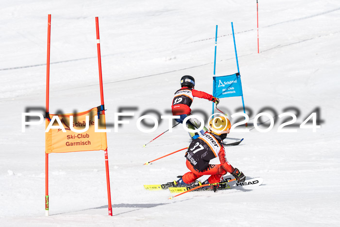 Ziener Cup Finale WF PSL, 30.03.2024 