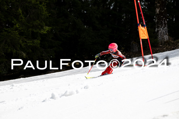 Ziener Cup Finale WF PSL, 30.03.2024 