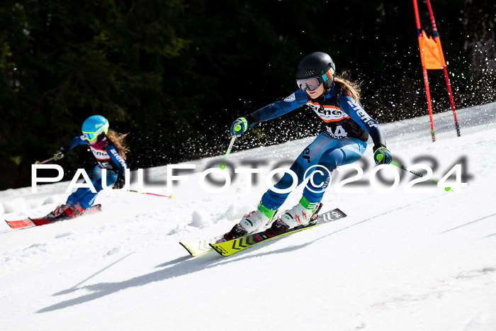 Ziener Cup Finale WF PSL, 30.03.2024 