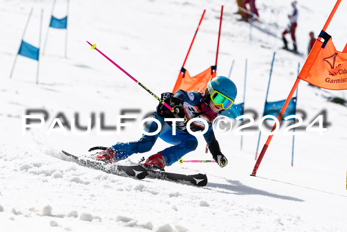Ziener Cup Finale WF PSL, 30.03.2024 