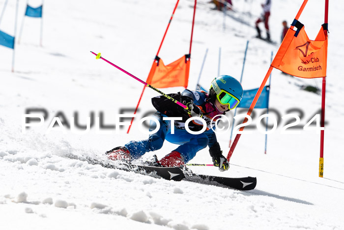 Ziener Cup Finale WF PSL, 30.03.2024 