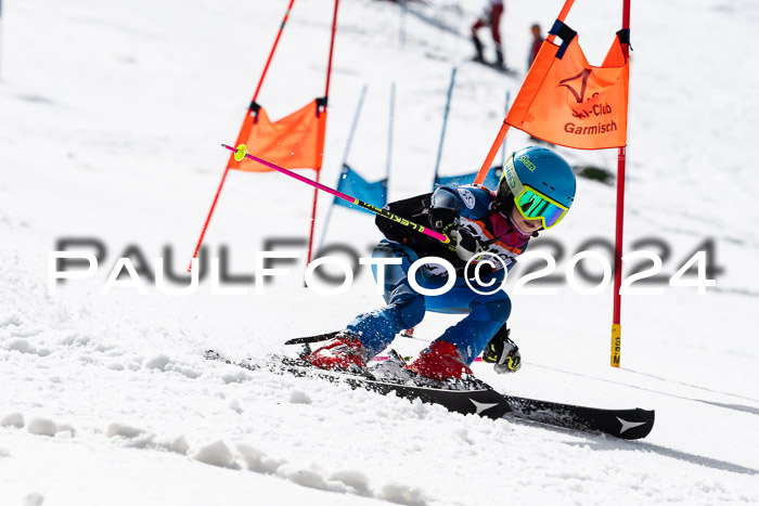 Ziener Cup Finale WF PSL, 30.03.2024 