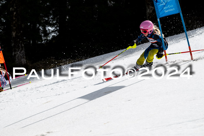 Ziener Cup Finale WF PSL, 30.03.2024 