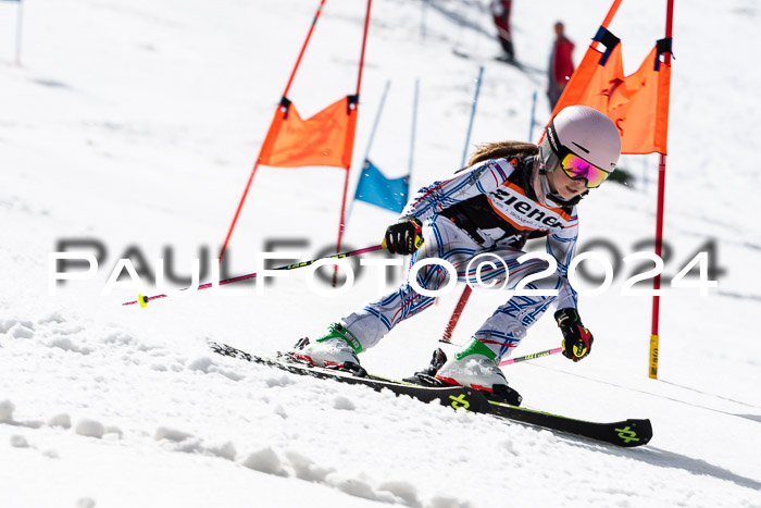 Ziener Cup Finale WF PSL, 30.03.2024 