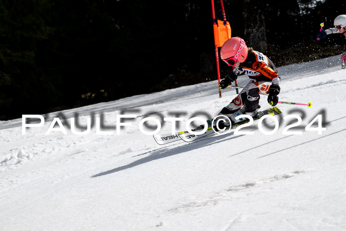 Ziener Cup Finale WF PSL, 30.03.2024 