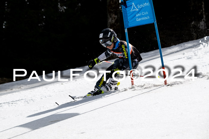 Ziener Cup Finale WF PSL, 30.03.2024 