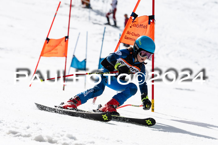 Ziener Cup Finale WF PSL, 30.03.2024 