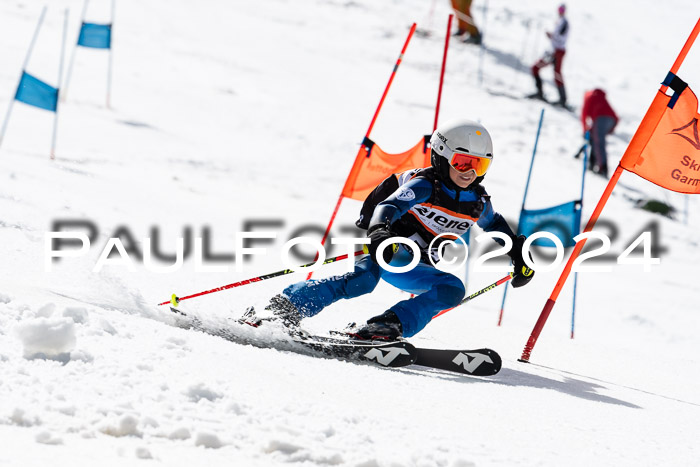 Ziener Cup Finale WF PSL, 30.03.2024 