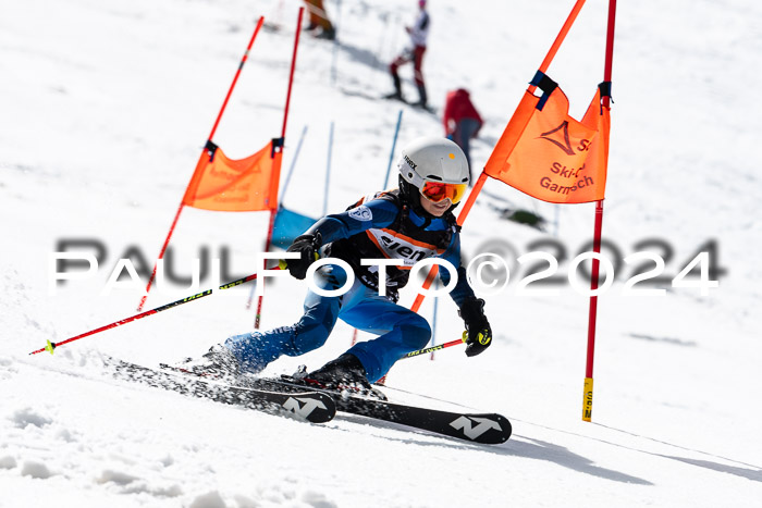Ziener Cup Finale WF PSL, 30.03.2024 