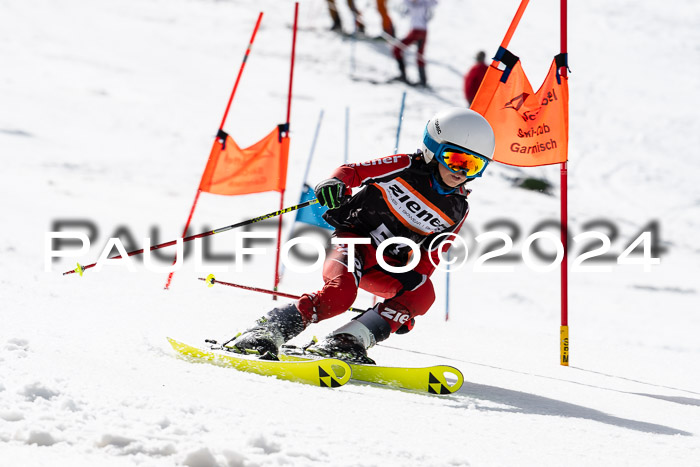 Ziener Cup Finale WF PSL, 30.03.2024 