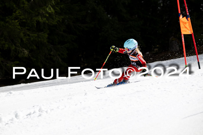 Ziener Cup Finale WF PSL, 30.03.2024 