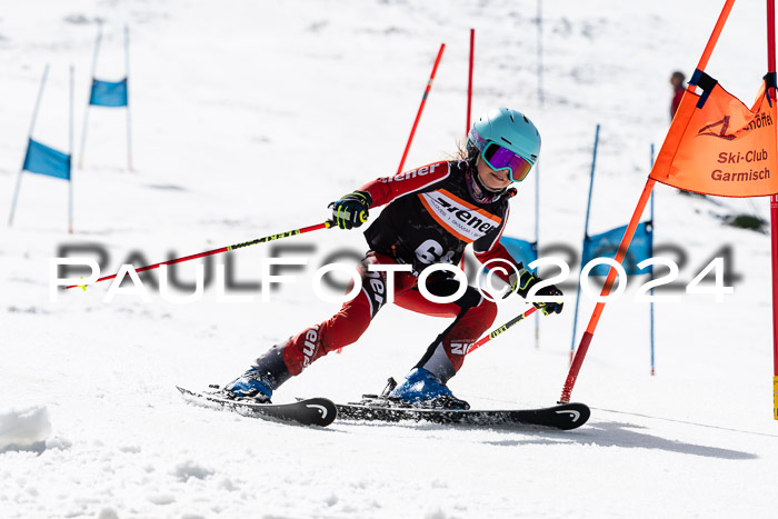 Ziener Cup Finale WF PSL, 30.03.2024 