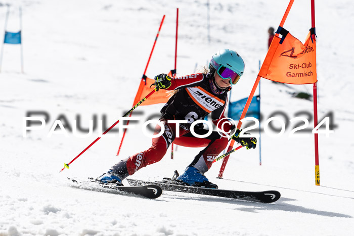 Ziener Cup Finale WF PSL, 30.03.2024 
