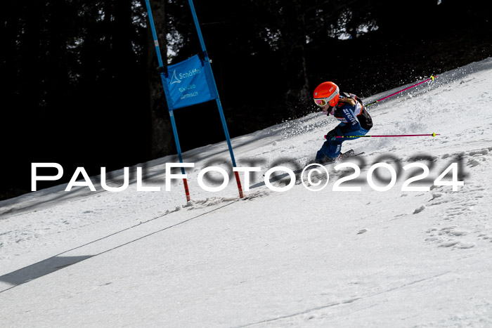 Ziener Cup Finale WF PSL, 30.03.2024 