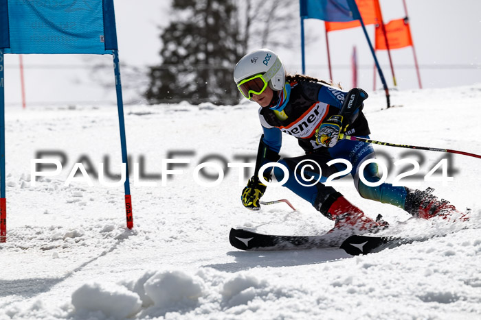 Ziener Cup Finale WF PSL, 30.03.2024 