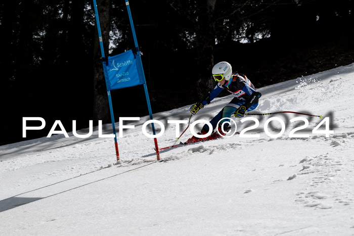 Ziener Cup Finale WF PSL, 30.03.2024 