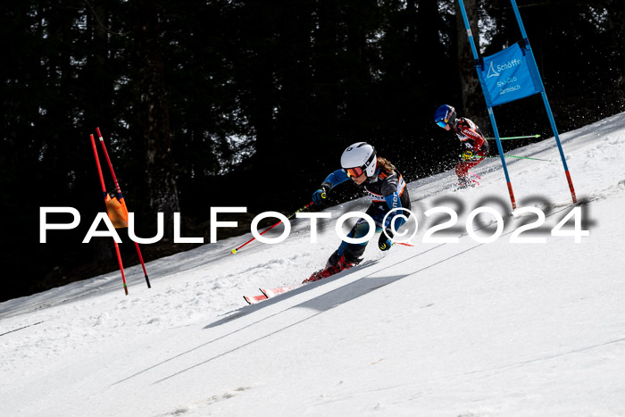 Ziener Cup Finale WF PSL, 30.03.2024 