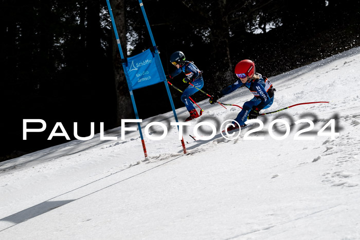 Ziener Cup Finale WF PSL, 30.03.2024 