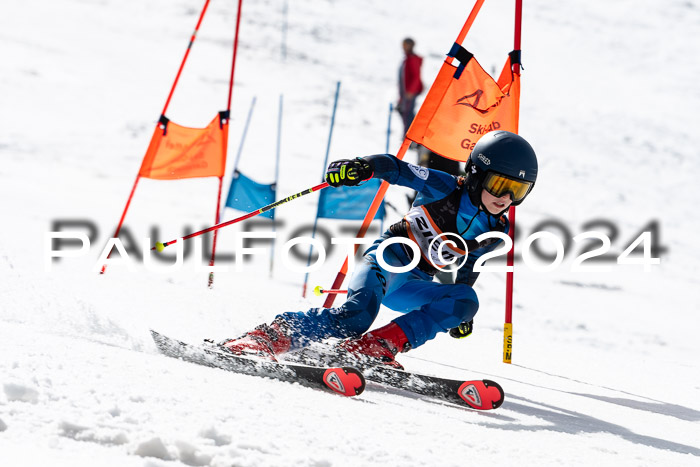 Ziener Cup Finale WF PSL, 30.03.2024 