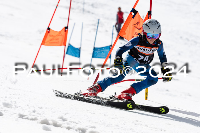 Ziener Cup Finale WF PSL, 30.03.2024 