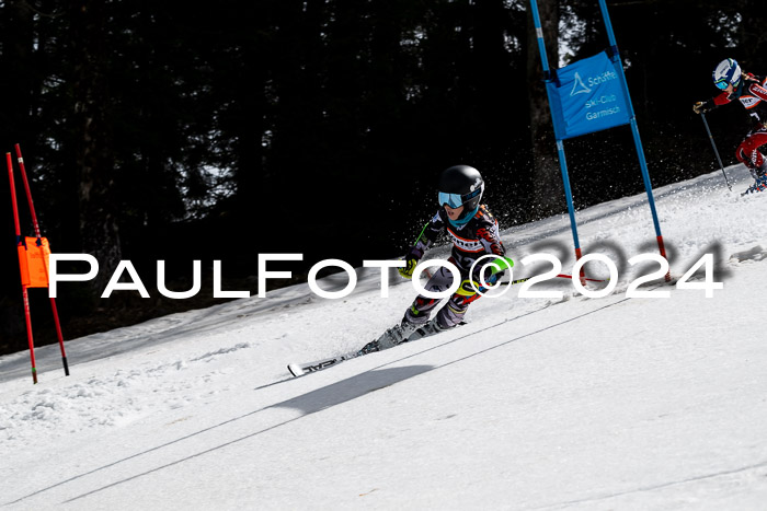 Ziener Cup Finale WF PSL, 30.03.2024 