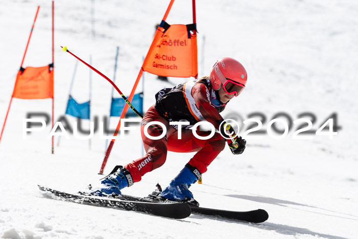 Ziener Cup Finale WF PSL, 30.03.2024 