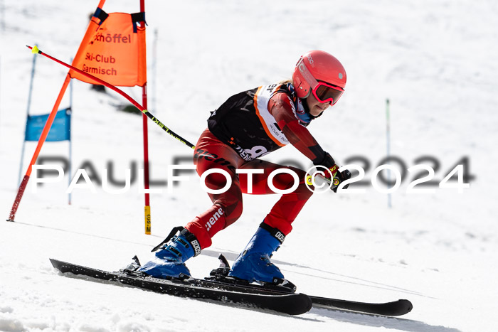 Ziener Cup Finale WF PSL, 30.03.2024 