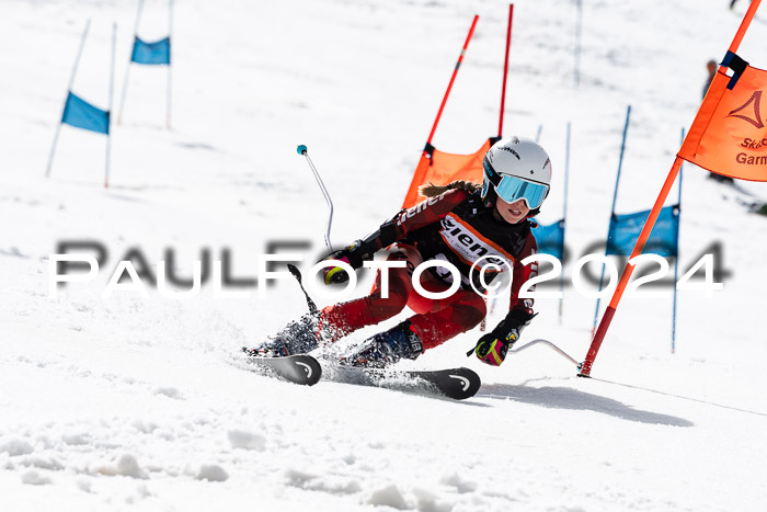 Ziener Cup Finale WF PSL, 30.03.2024 