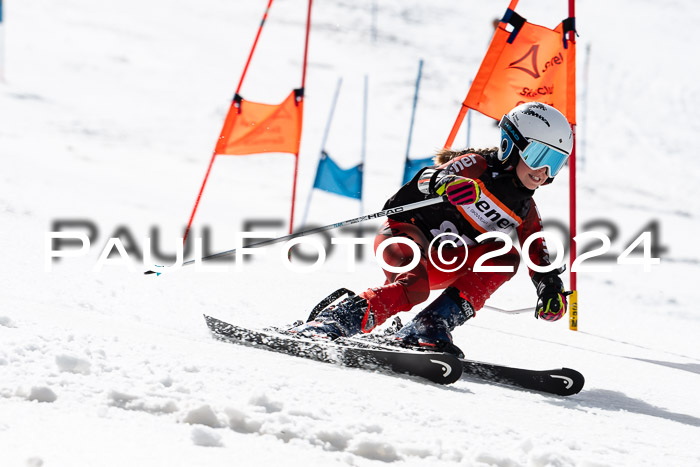 Ziener Cup Finale WF PSL, 30.03.2024 