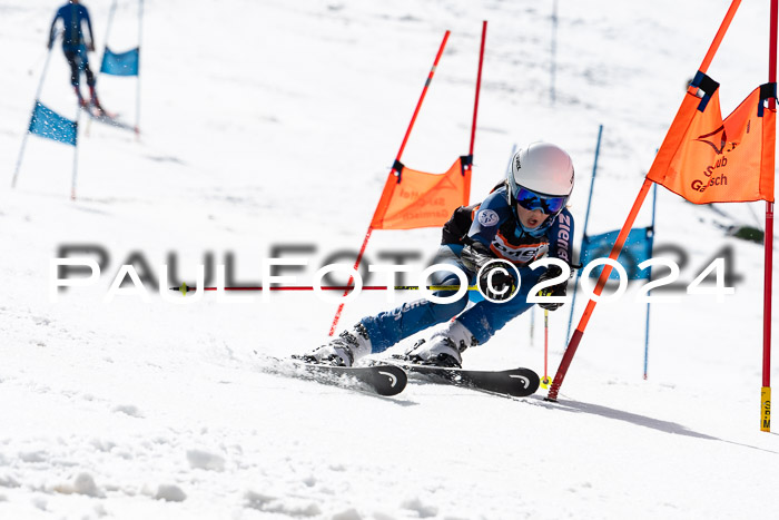 Ziener Cup Finale WF PSL, 30.03.2024 