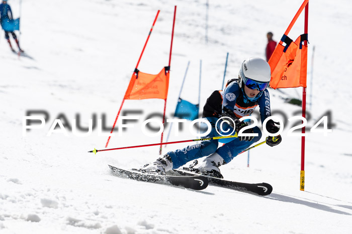 Ziener Cup Finale WF PSL, 30.03.2024 