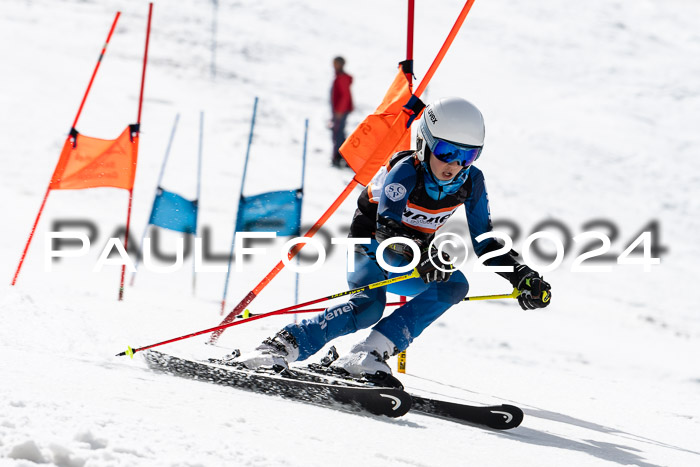 Ziener Cup Finale WF PSL, 30.03.2024 