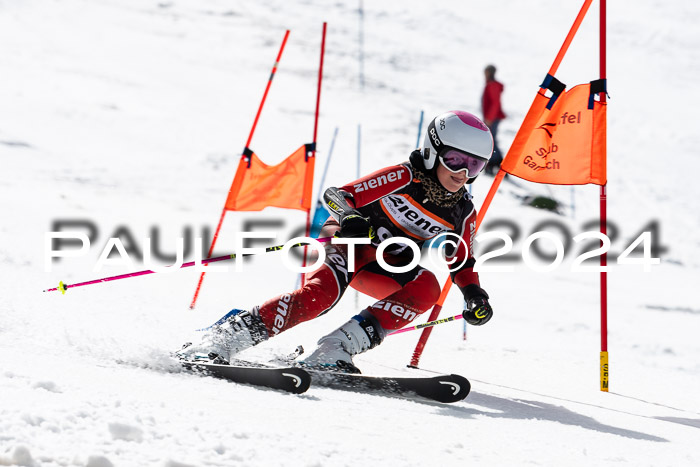 Ziener Cup Finale WF PSL, 30.03.2024 