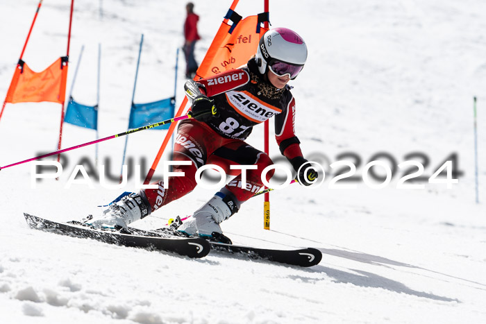Ziener Cup Finale WF PSL, 30.03.2024 