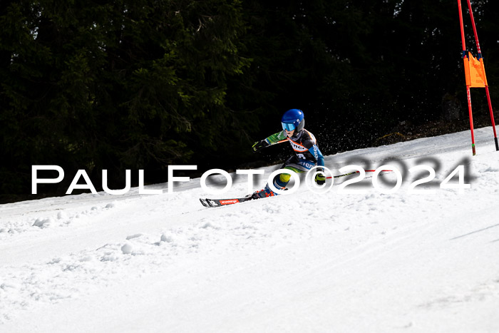 Ziener Cup Finale WF PSL, 30.03.2024 