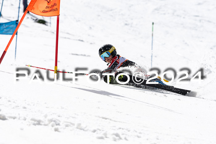 Ziener Cup Finale WF PSL, 30.03.2024 