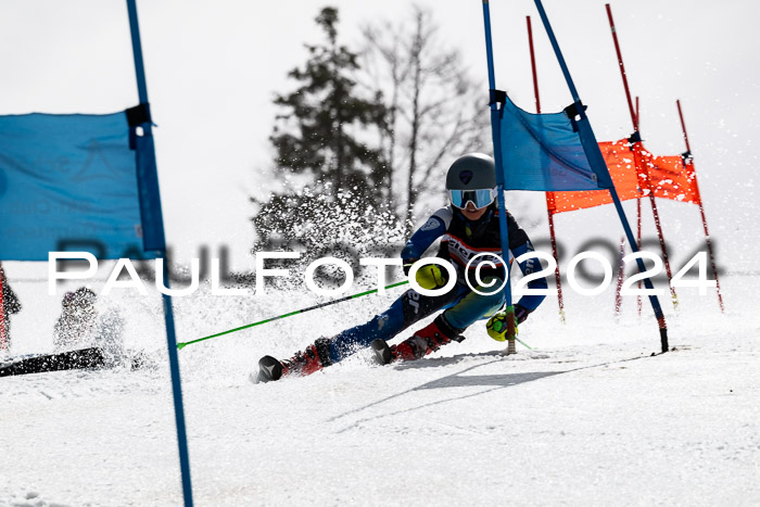 Ziener Cup Finale WF PSL, 30.03.2024 