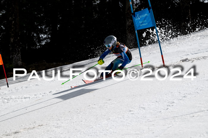 Ziener Cup Finale WF PSL, 30.03.2024 