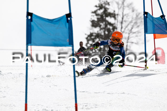 Ziener Cup Finale WF PSL, 30.03.2024 