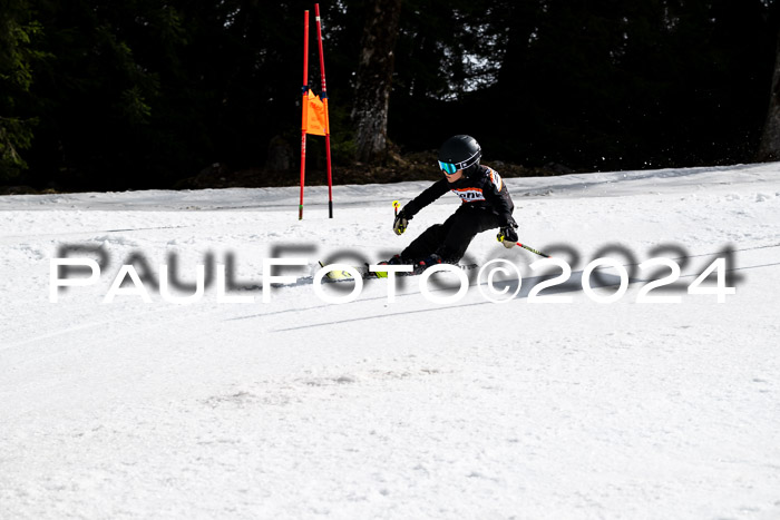 Ziener Cup Finale WF PSL, 30.03.2024 