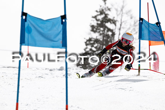 Ziener Cup Finale WF PSL, 30.03.2024 