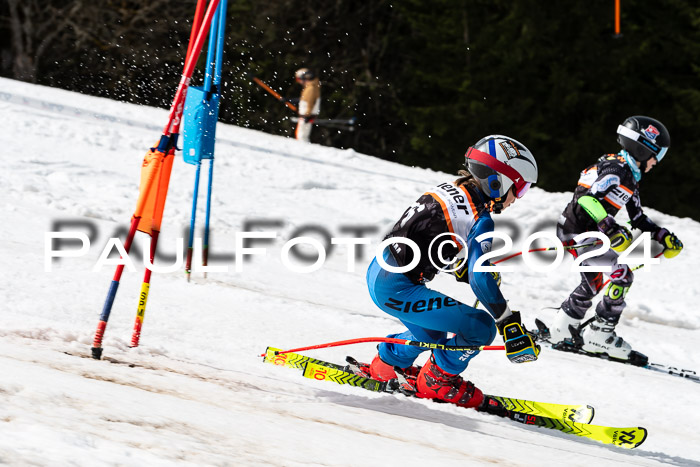 Ziener Cup Finale WF PSL, 30.03.2024 