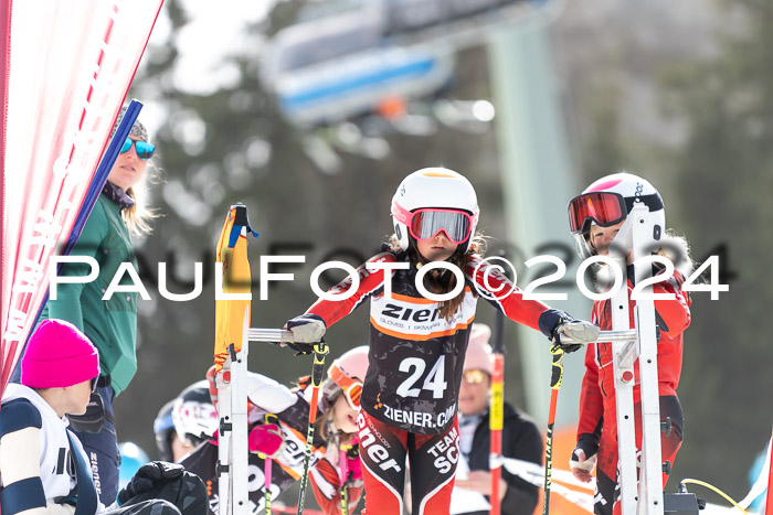 Ziener Cup Finale WF PSL, 30.03.2024 