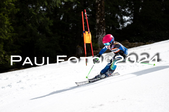 Ziener Cup Finale WF PSL, 30.03.2024 
